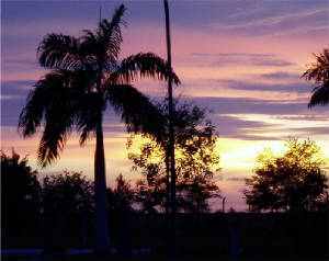 sunset.jpg
